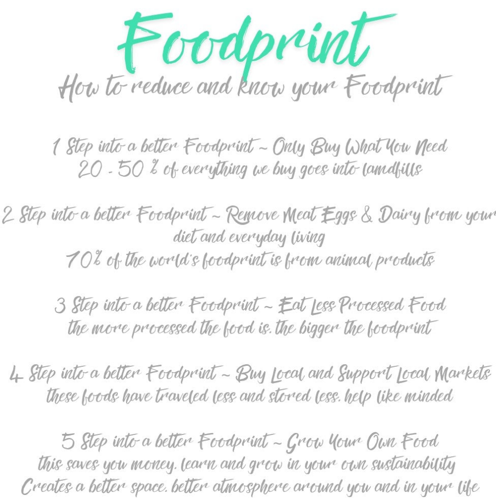 Emotional Transitional Support 30 Day Mindfulness Journeying Journal