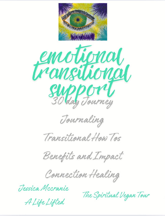 Emotional Transitional Support 30 Day Mindfulness Journeying Journal
