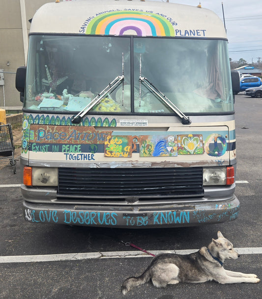 Donation to REALLY save our Journey in our The Spiritual Vegan Tour bus