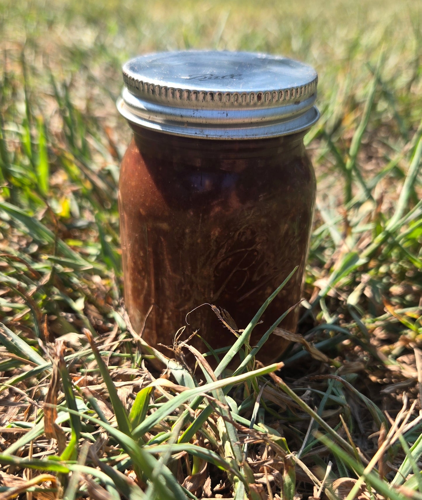 homemade plantNutella