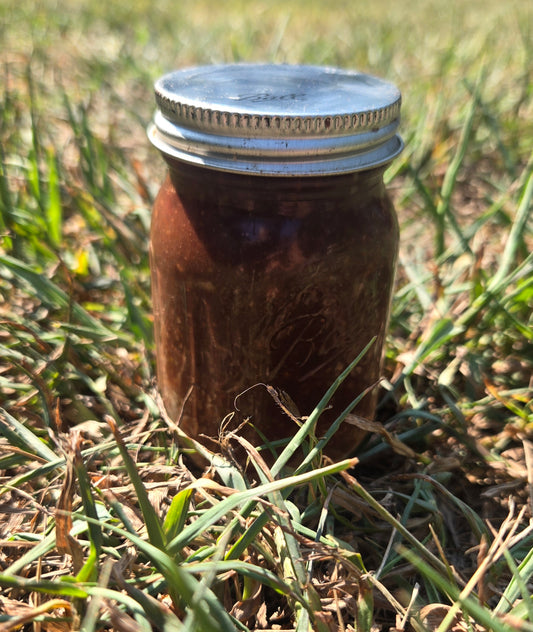 homemade plantNutella